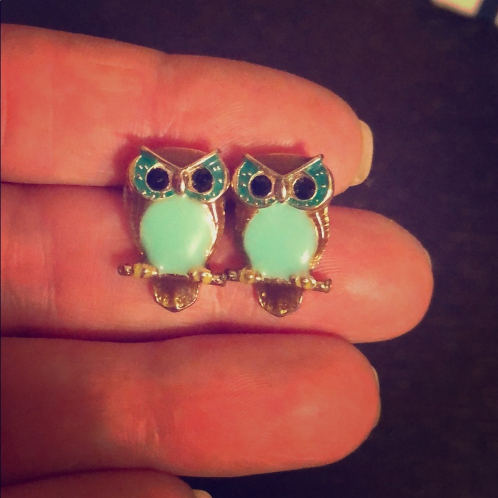 Owl 🦉 Earrings